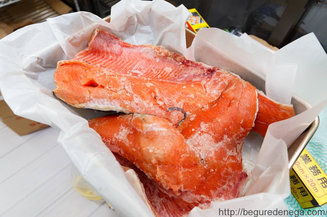 【濃縮】2015年　北海道北斗市産　白鮭【13kg】