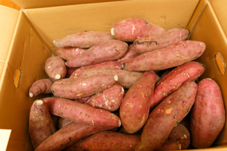 2018年11月購入 鹿児島県産 さつまいも