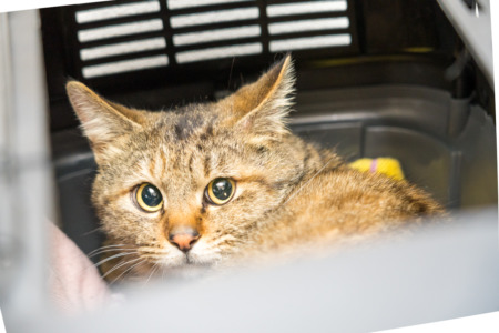 小さな命を大切に