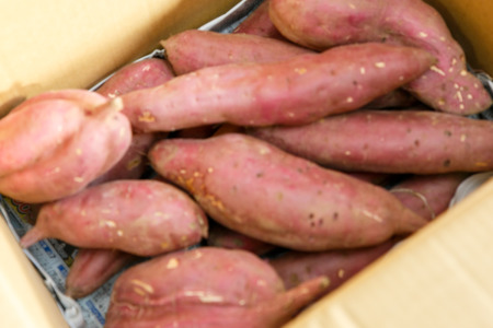 2019年産 神奈川県横浜市産 さつまいも