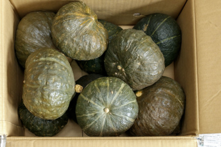 2019年産 埼玉県狭山市産 カボチャ