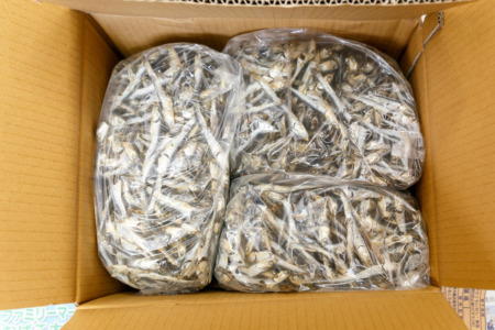 2019年産 千葉県産 上煮干し