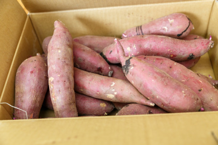 2020年購入 茨城県産 紅はるか