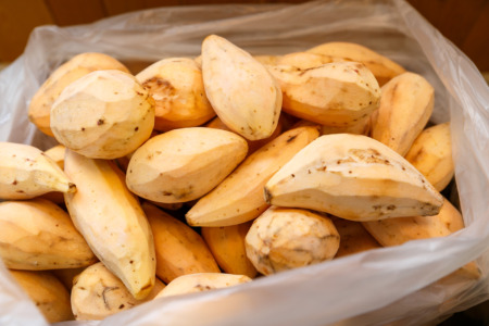 2020年 福岡県産安納芋